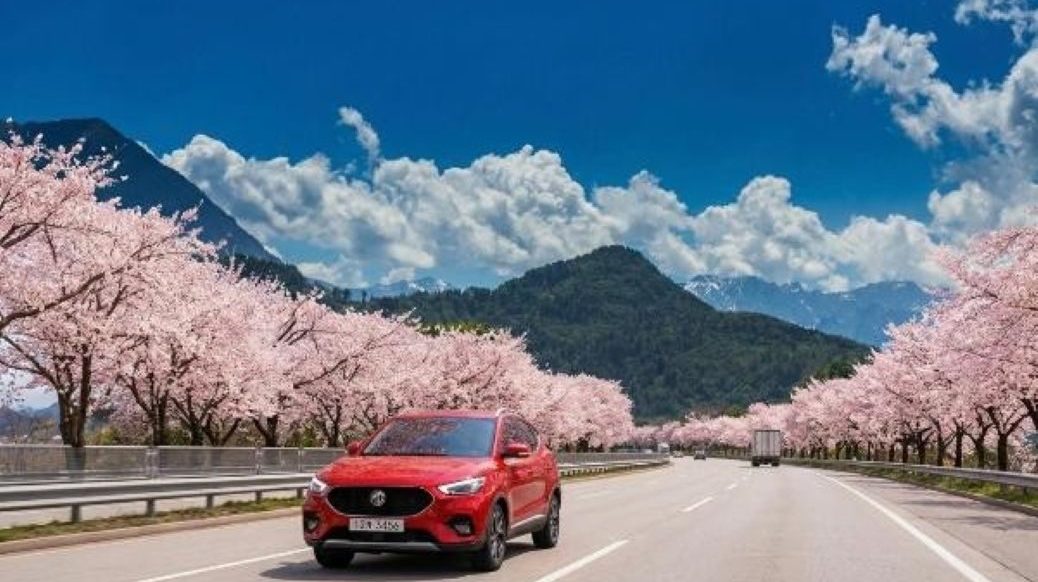벚꽃 나들이 갈 때 확인하면 좋은 자동차보험 할인 특약