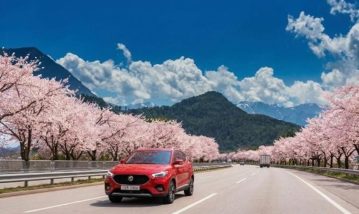 벚꽃 나들이 갈 때 확인하면 좋은 자동차보험 할인 특약